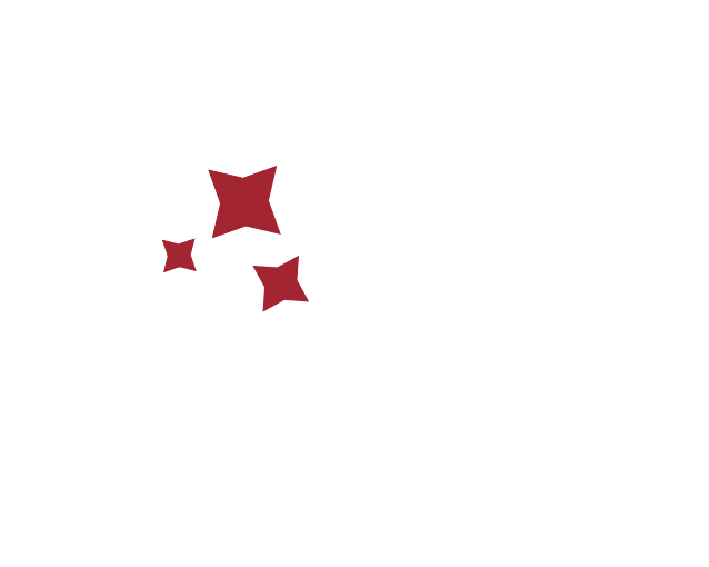 SUI Logo